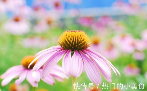 鳞屑|银屑病患者如何做好自我护理呢？