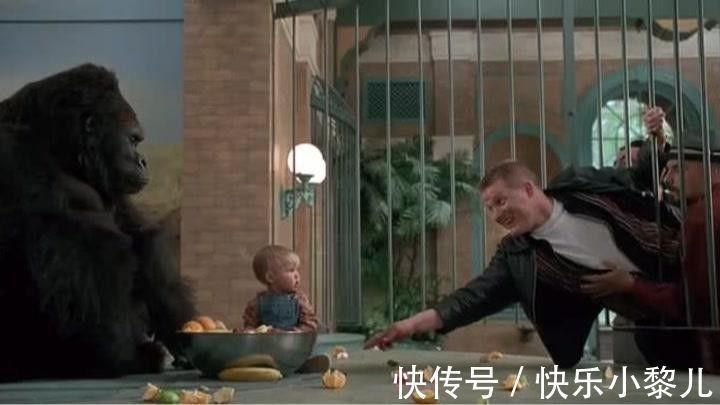 纽索拉|聪明的孩子都有迹可循,在1岁之前有5个共同点,父母注意培养