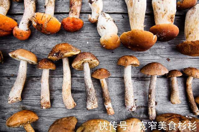 杏鲍菇|9大常见蘑菇菌类的最佳吃法，这么做比肉还香！