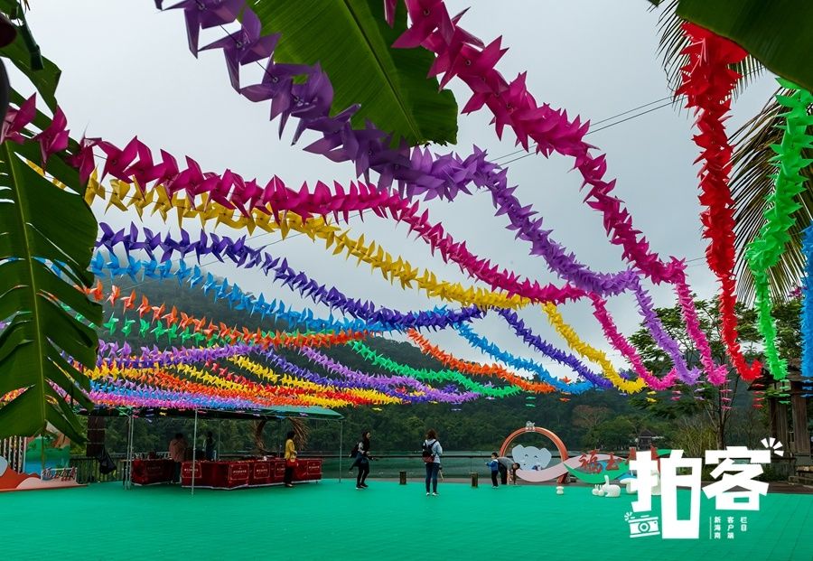 保亭|拍客丨游人走进海南五指山区热带雨林，享受节日的欢乐