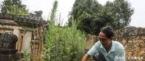 看完|一村子世代给一女子守墓,乾隆曾想打开,但看完碑上八字立刻放弃!