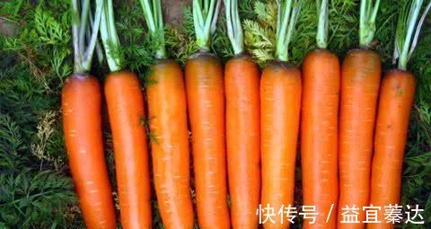 猪血|高血脂的“特效药”被发现, 每天吃一点, 血管通畅, 血脂轻松降!