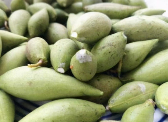 食用价值|农村即将“消失”的野果子,吃过4种正常,全吃过的说明您真老了