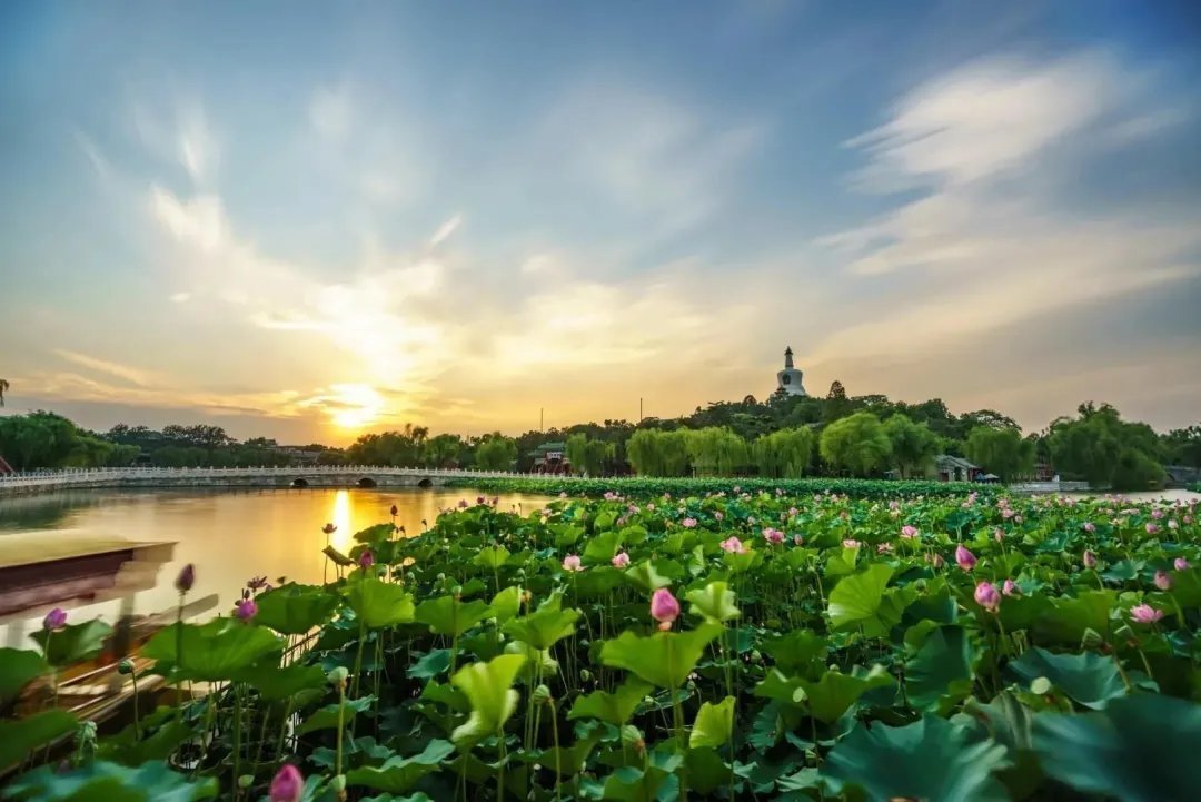 人约黄昏后#诗词丨给40首古诗加上配图,恍然大悟,惊为天人