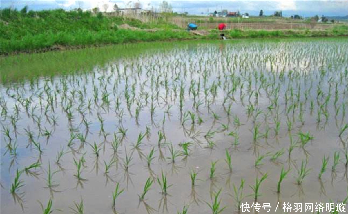 本草纲目#俗语:宁往北走一千,不往南挪一砖,老祖宗留下来的讲究