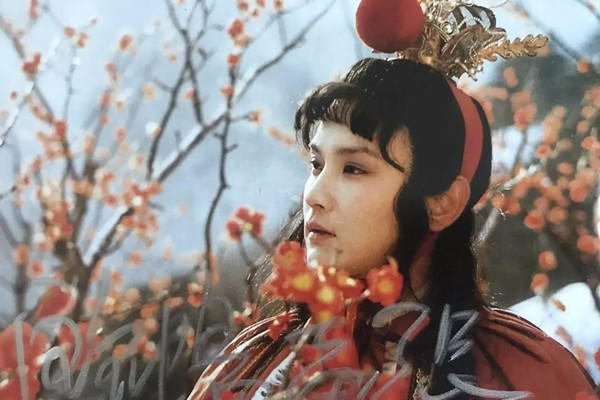 宝钗|秦可卿出身低贱,为何能嫁给国公府嫡孙?未嫁先名玉,细思极恐