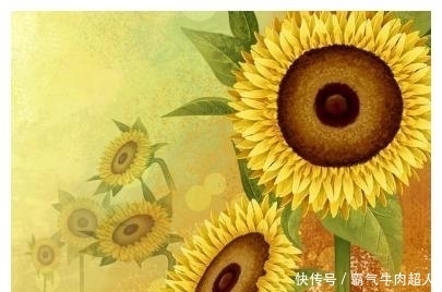 农历二月十三是什么星座 农历二月十三是什么星座