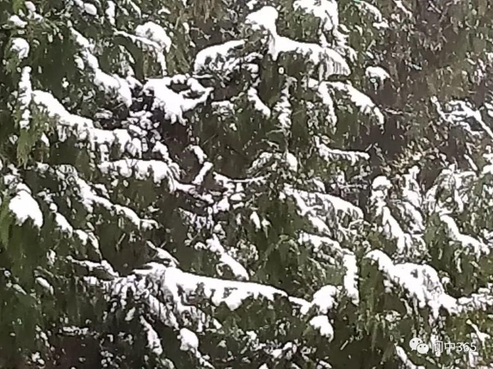 妙高镇金城山雪景图