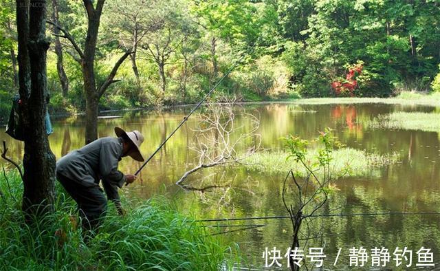 秋季钓鱼,钓位选择的变化很大,这几点莫忽视