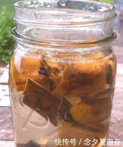 老婆不小心将“它”扔进花盆里,干瘪的君子兰,开花爆盆了!