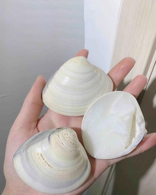 盘点那些看起来很恶心，但却意外好用的东西！