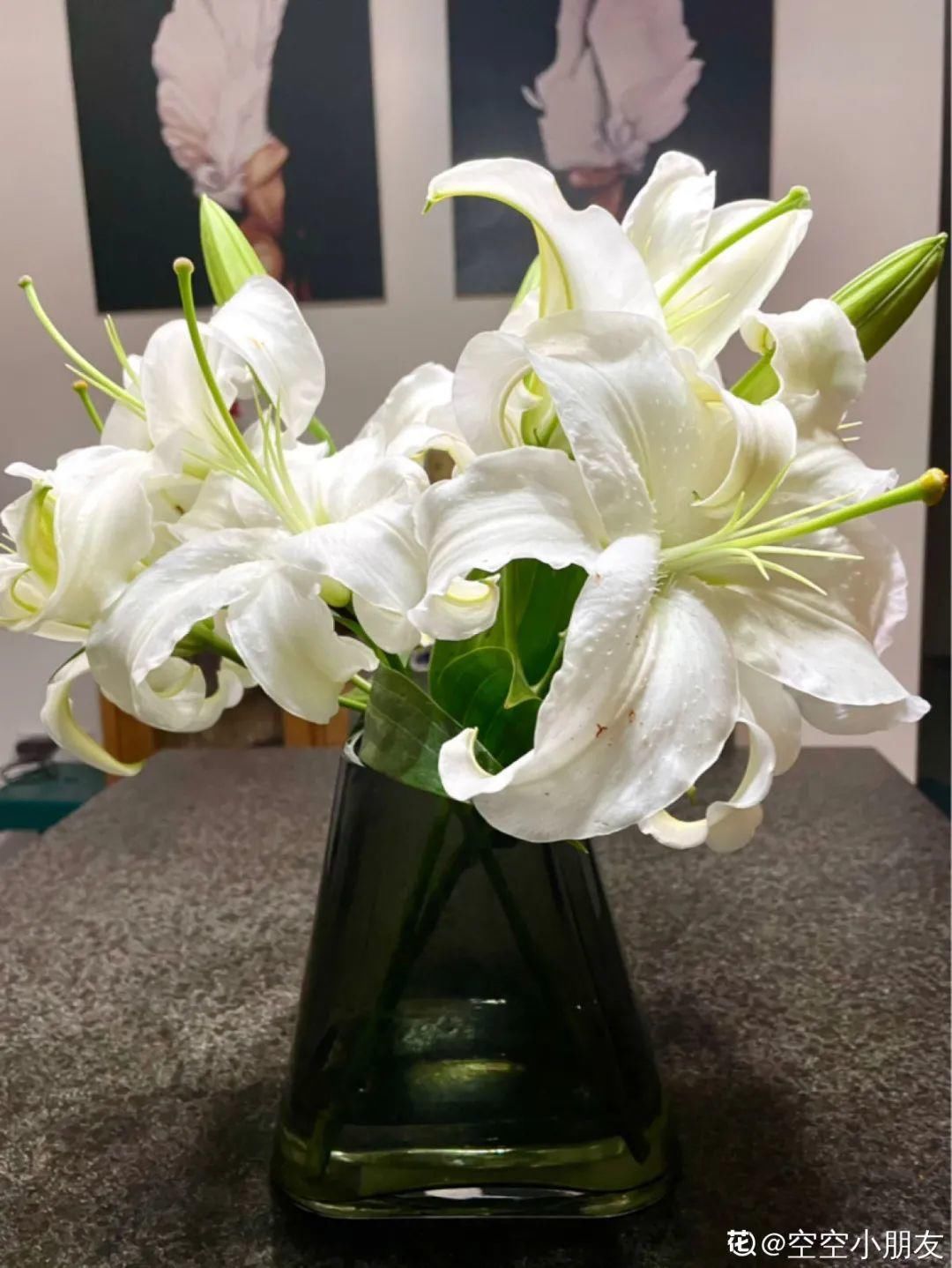 香味|卧室不能养的花,对身体有大危害,一盆也不行