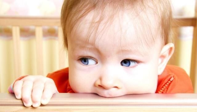 吸引力|你的孩子是吸引的蚊子“磁铁”吗他经常被咬的5个原因