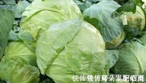 发物|玉米是胃炎的“发物”?医生:想胃好,或可常吃这几种食物