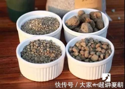 木炭|盆栽底下垫上这4种,告别“植物杀手”称号!
