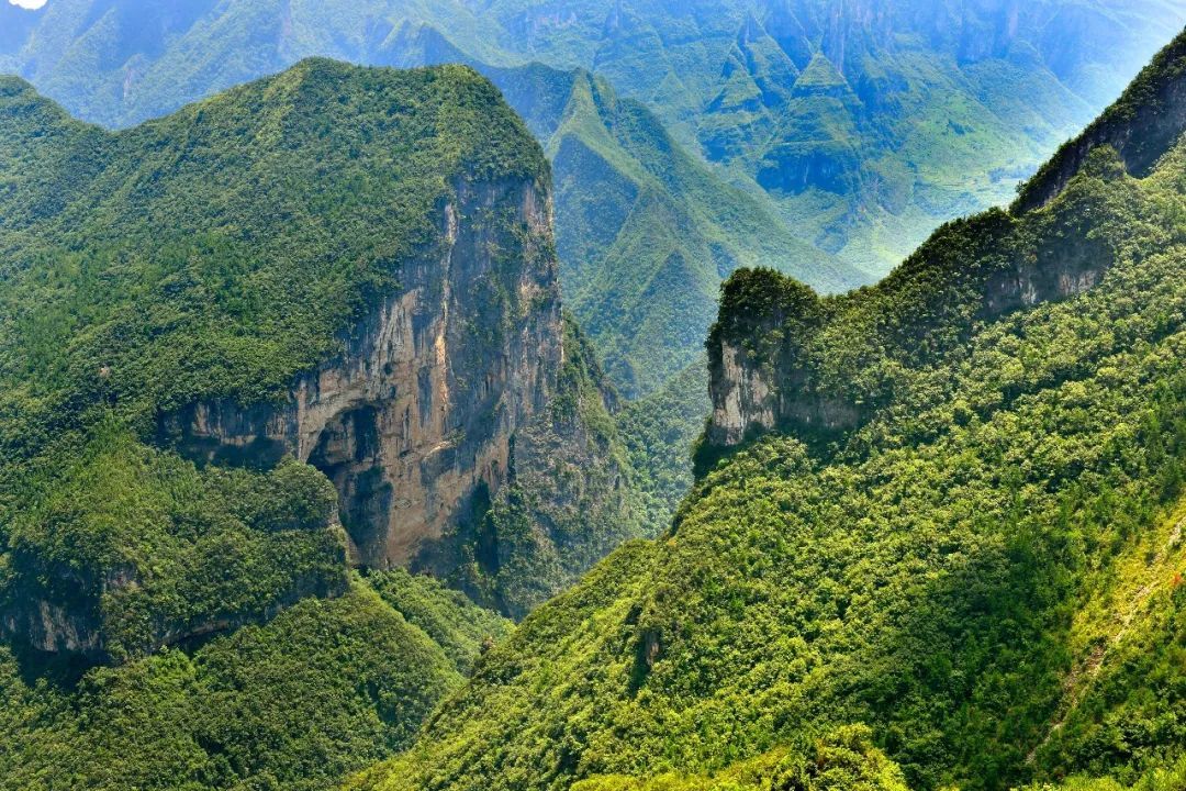 巫山县|神农架有个“养在深闺”的“邻居”，纳入世遗了！