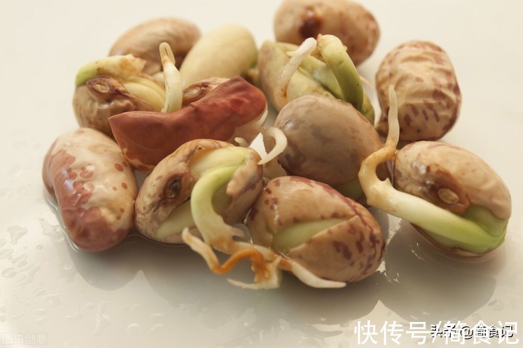 芋头|食物发芽后,还能不能吃?营养师:这7种不但能吃,有的还是宝藏