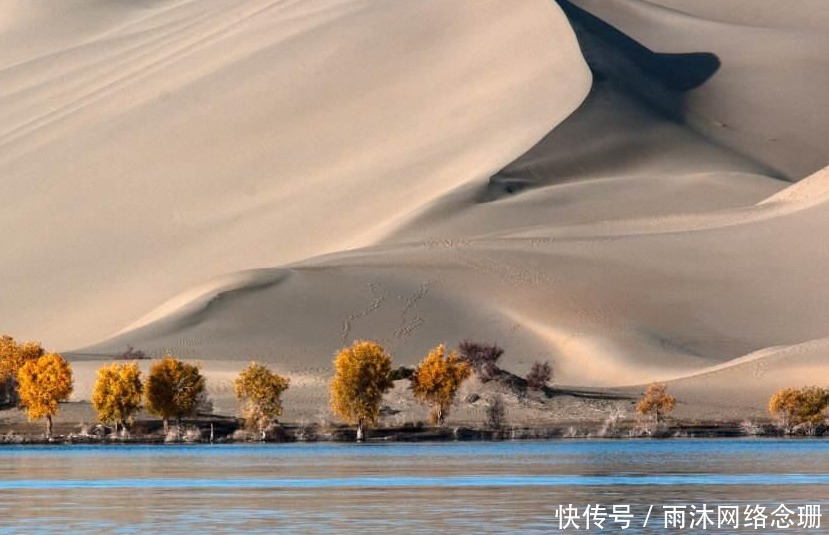 唐朝|通过丝绸之路来唐朝的外国人，大多数都不想回家的原因在此。