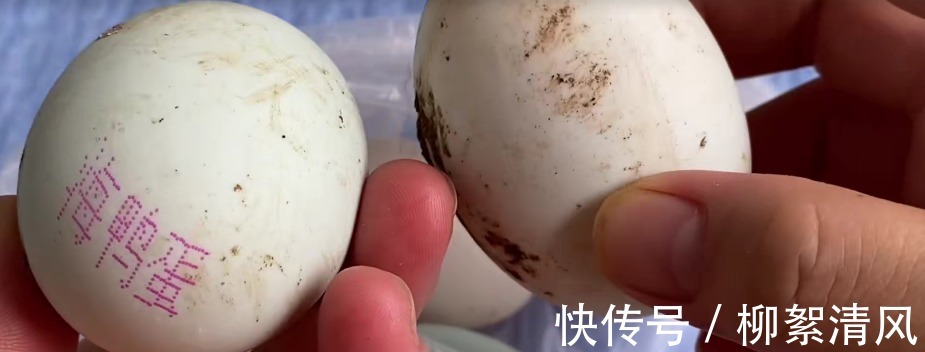 包裹|把白酒倒进鸭蛋里，作用真的太棒了，果然高手在民间，不学亏大了！