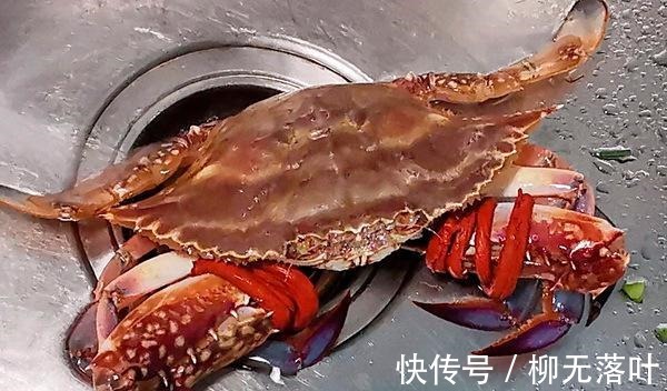 极速降温,煲个暖心又暖胃的蟹肉粥,就是舒服!