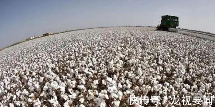 轻工业|还是中国靠谱！越南供应链断供，欧美遭殃，急忙把目光转向中国