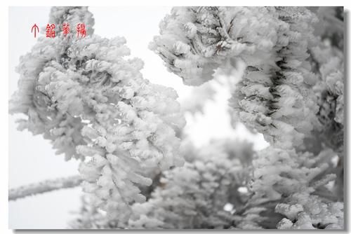 铅山|铅山葛仙山白雪皑皑，犹如冰雪童话世界