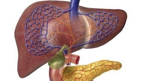 乙肝患者|乙肝每天“三部曲”,胜过吃补药,3个方法增强免疫!