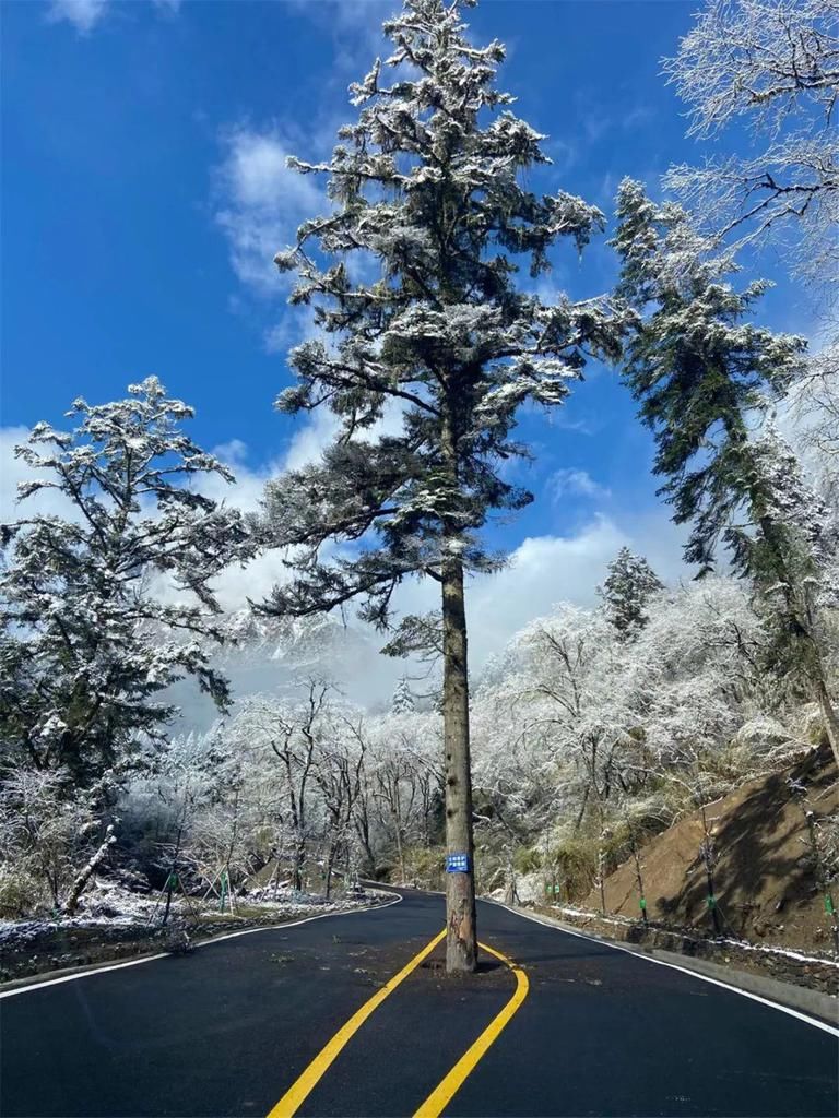 地方|汶川下雪了！这些地方，你最想去哪个？