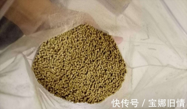 只要这么做,偷驴也能快速聚鱼、快速发窝