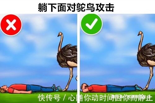 看似毫无用途,但却在紧急时刻下能给予你帮助的9个生存技巧