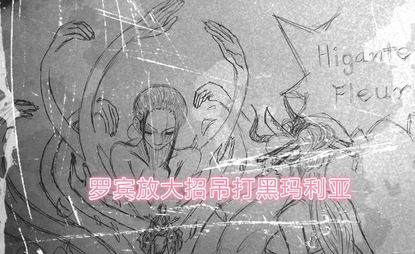 小蜘蛛|海贼王1020话情报:大和果实能力曝光,罗宾暴走,KO黑玛利亚