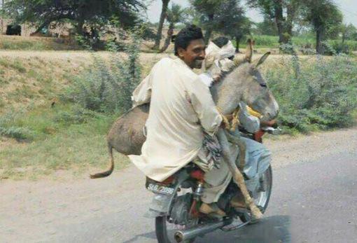 |搞笑段子:楼下的张婶是个热心肠的人