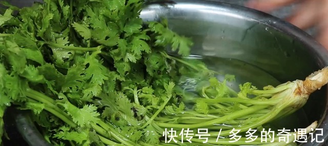 食用盐|保存香菜有诀窍，今天全教你，不烂叶不发黄，半年都新鲜，真实用！