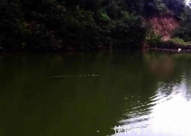 水边钓鱼，论1根失手绳的重要性