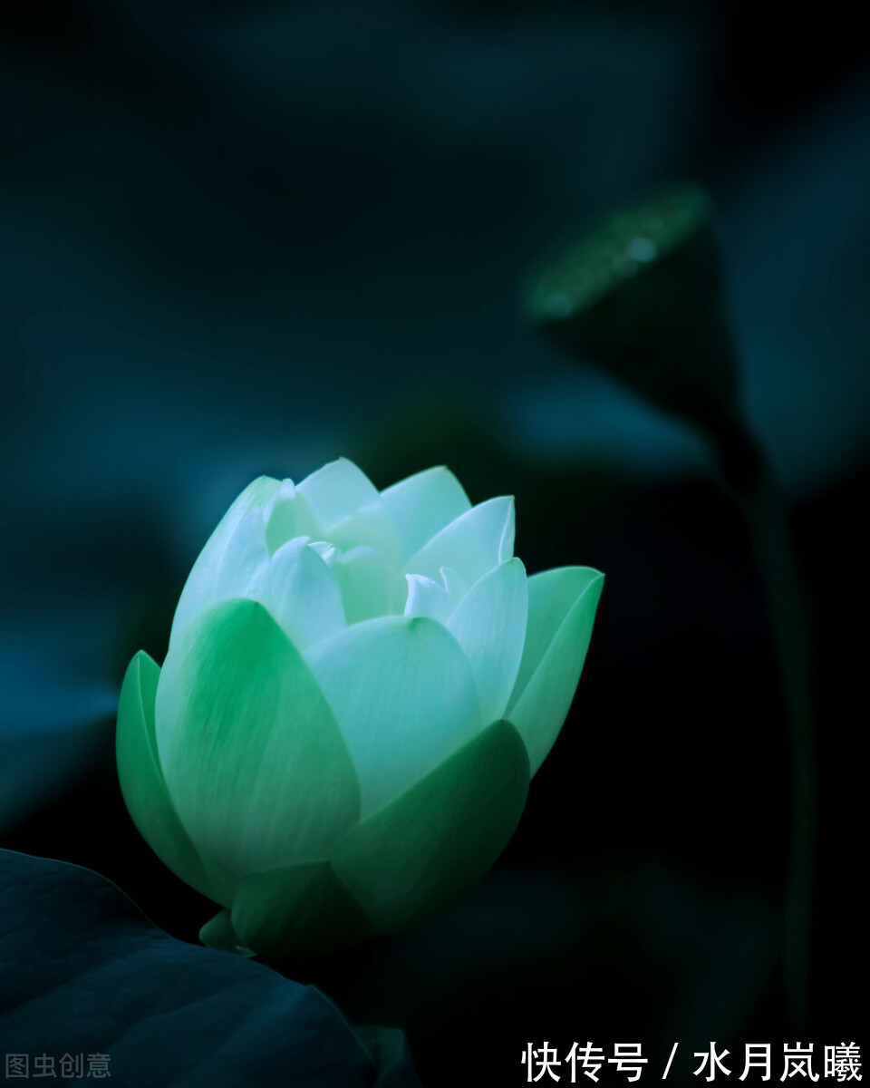 把酒问青天|宁肯媚晚凉,清风匝地随,一抹烟雨红尘事,半盏清欢岁月情