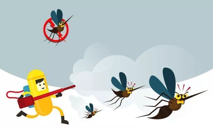 夏天|宝宝总被蚊子咬?学会这3种驱蚊小妙招,夏天蚊子跑光光