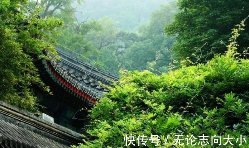 王国维&115年前,王国维在寺庙里写的妙词,专家评:最高格的无我之境