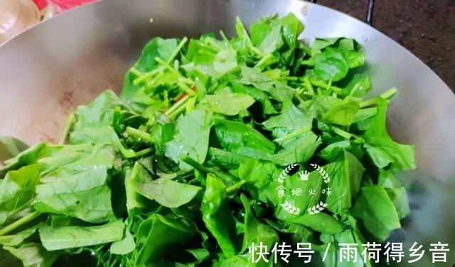 每天不知道吃什么这5道快手菜,开胃营养高,很适合小孩子吃!