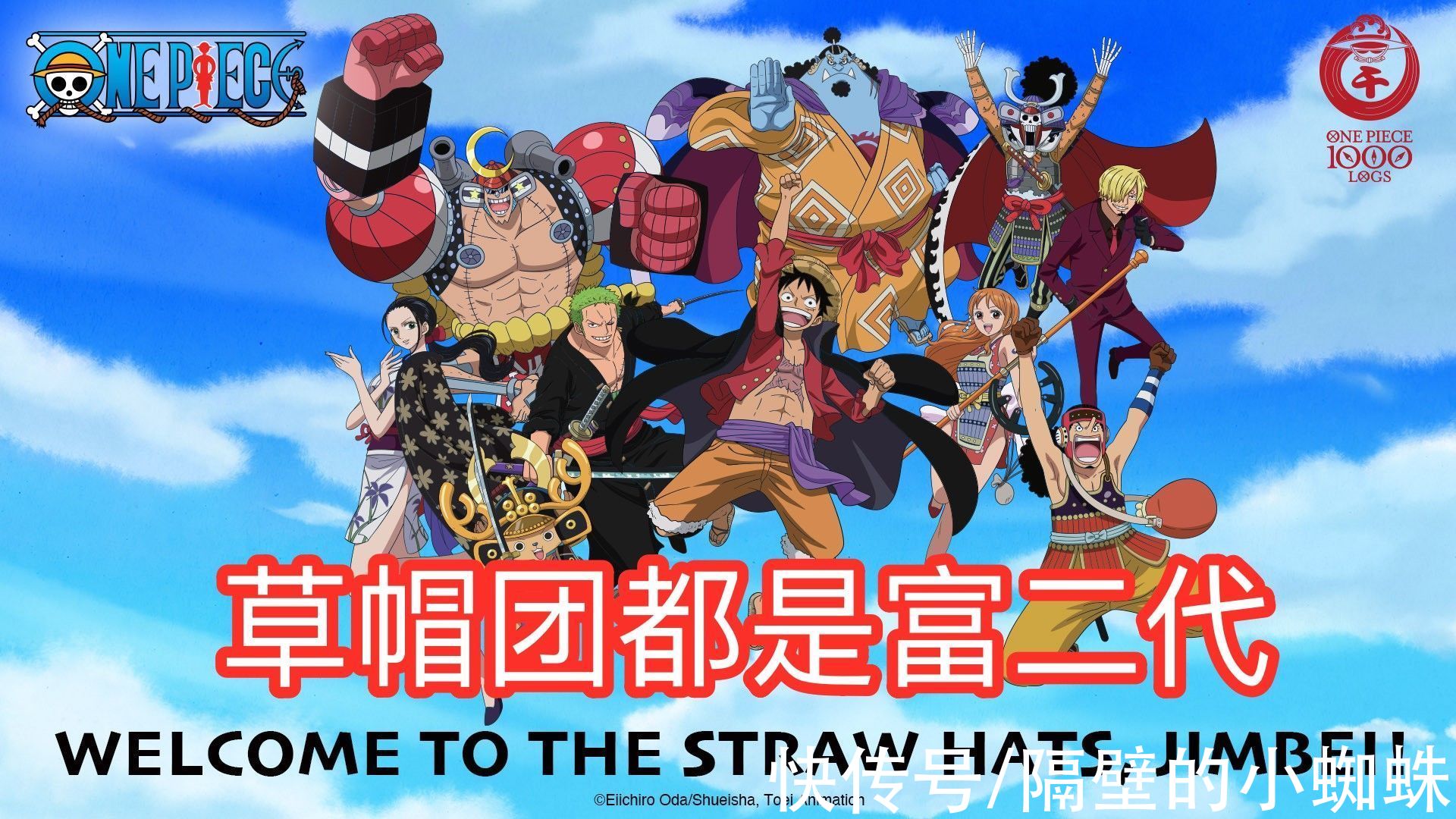 身世|是“血统论”拯救了《海贼王》，还是把它当成资本牟利的工具？