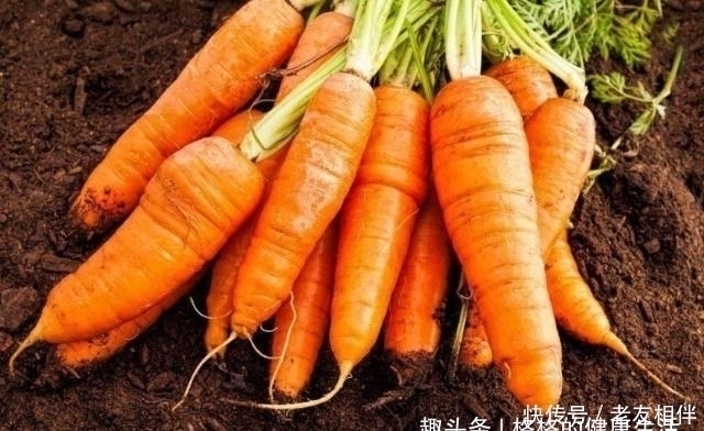 胡萝卜素|胡萝卜和此物一起煮，胃舒服了，失眠消失了，视力也越来越好