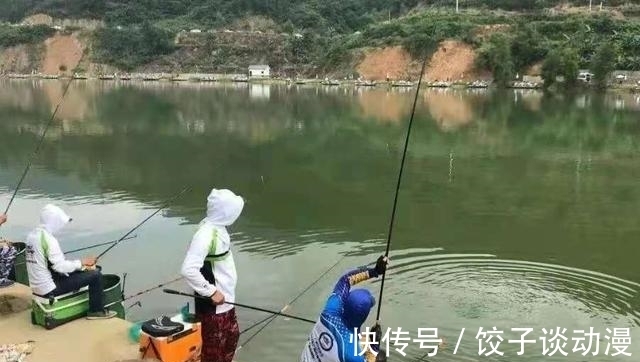 饵料|说出来你可能不信,天气越热这套鲫鱼钓法越管用,别傻傻分不清楚