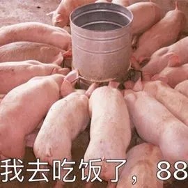 喝什么最解渴?居然不是水!8个食物的“冷知识”,答对2个算我输
