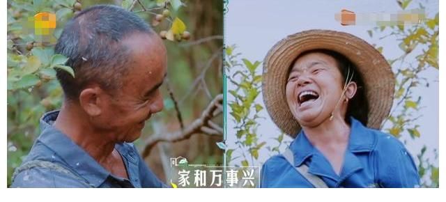 水果台太会挖宝了，刚送走宝藏哥哥，又找到宝藏乡村