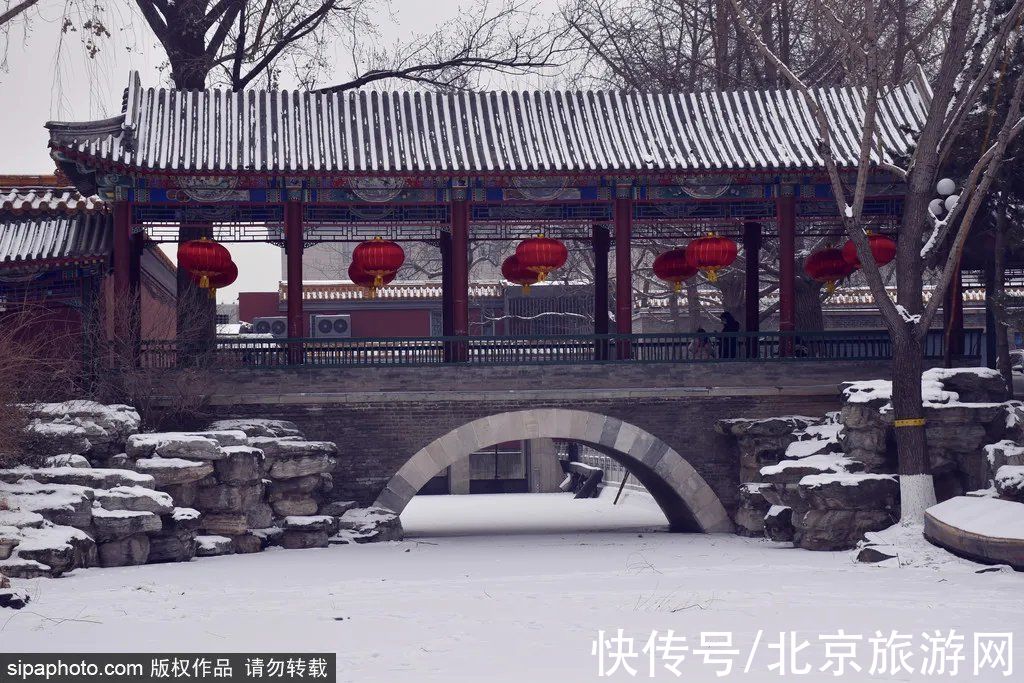 会徽|惊艳！冬奥花坛“绽放”京城，春节假期跟着花坛游北京！