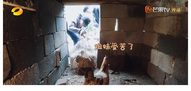 真实|张子枫的真实:融不进去就玩自己的,管你是那英还是梁静