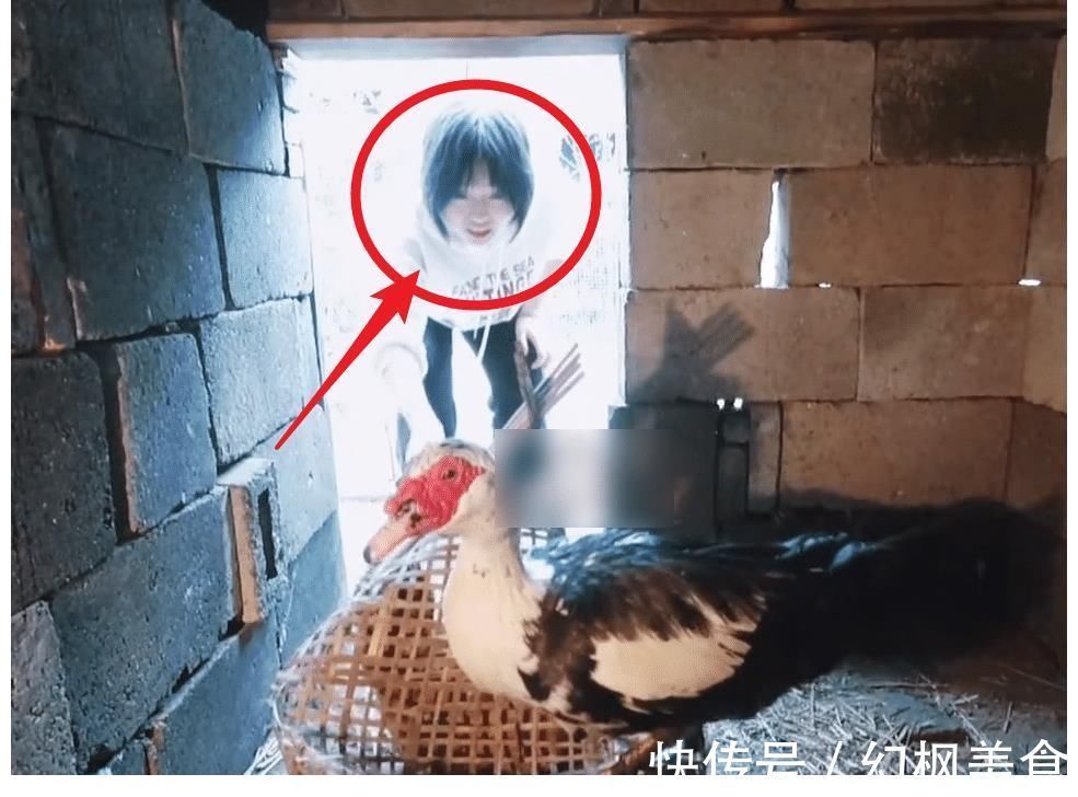 张艺兴|向往5迎来第二位女嘉宾,和陈赫李诞对比明显,张艺兴都忍不住点赞了