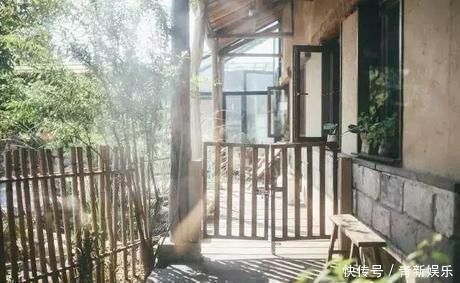 桃花源|20多岁的年龄差距，却把一个破烂的农家小院变成了“桃花源”