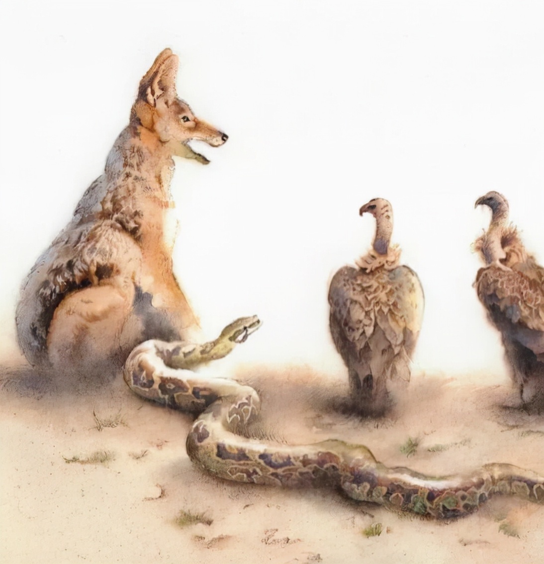 非洲#异域奇境、恍如隔世,艺术家迪兰·斯科特·皮尔斯的水彩画