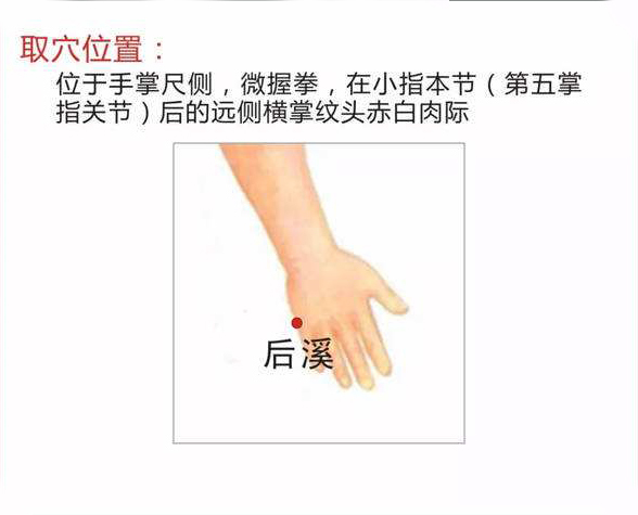 近视|后溪穴：振奋你一身的阳气！颈椎病、腰椎病、眼睛问题，效果很好