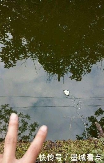 鱼钩|没想到还能这样钓鱼,一看就是个高手